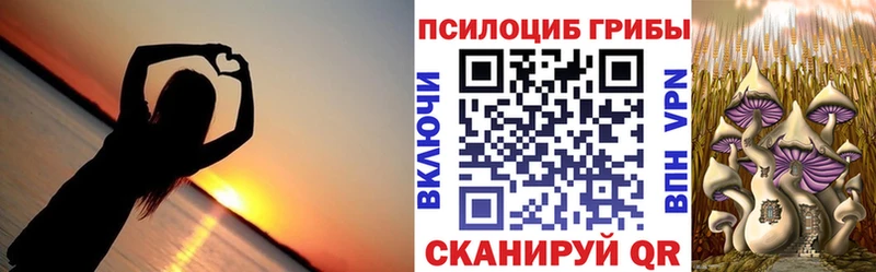 Галлюциногенные грибы Psilocybe  Купить  Дятьково 